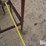 raised-calf-crates-image-10