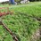 #4450-•-tine-ride-boom-sprayer-image-2