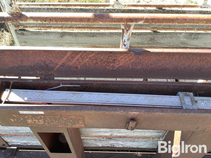 ww-800-livestock-scale-image-11