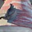 #5083-•-500-gallon-waste-oil-barrel-image-4