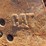 excavator-bucket-42.5"-image-5