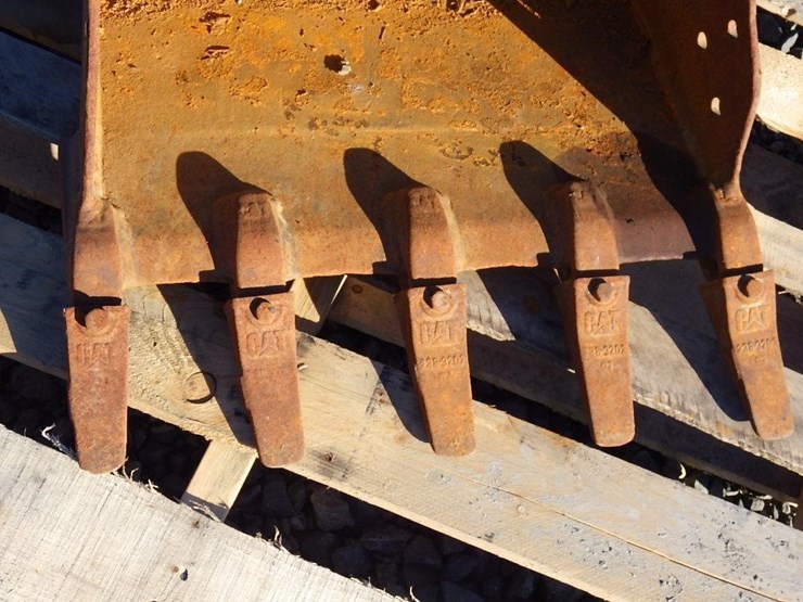 caterpillar-24-image-5