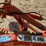 #202-•-kuhn-s.a.-disc-bine-image-8