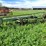 #4462-•-john-deere-(4)-bottom-plow-image-10
