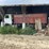 #4485-•-1981-international-cof-9670-grain-truck-(no-title)-image-8