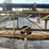 #8625-•-radial-stacking-conveyor-unit-(maq)-image-30