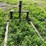 #4448-•-john-deere-large-stack-mover-image-5
