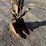 case-cx17b-image-9