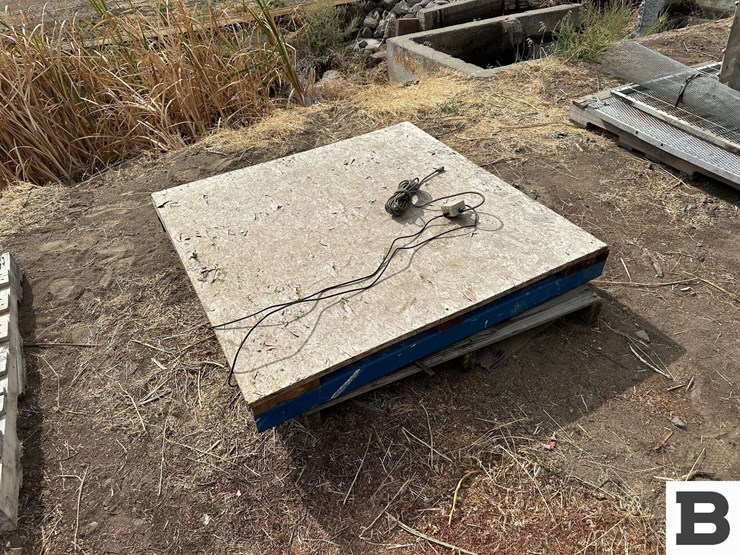 inscale-wr-4-5k-platform-scale-image-1