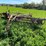 new-holland-super-55-image-1