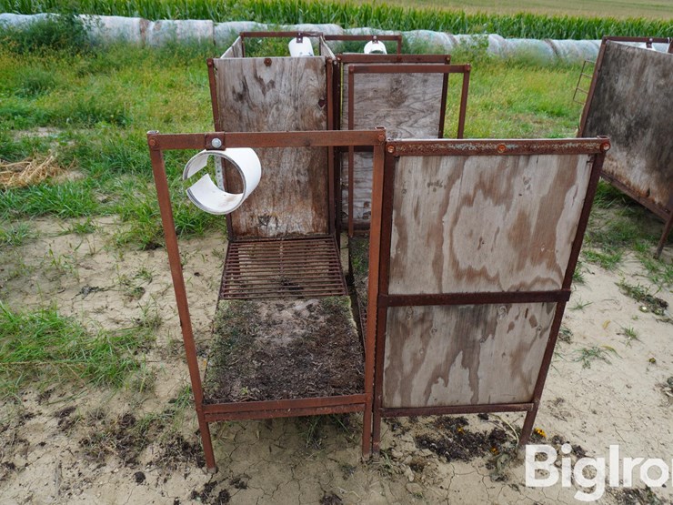 raised-calf-crates-image-6