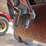 #1704-•-2006-abs-rc5-live-bottom-trailer-image-55