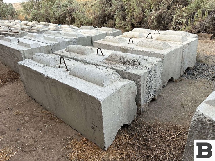 ecology-blocks-(c)-image-1