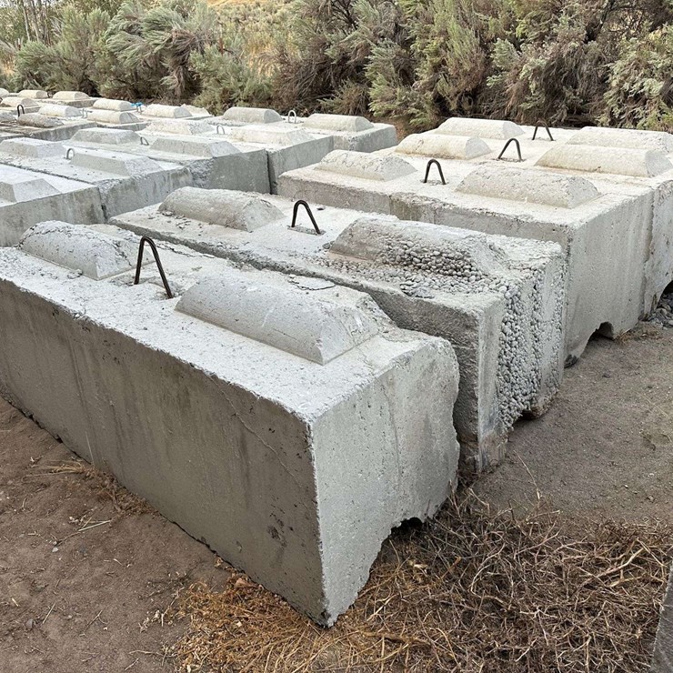 Ecology Blocks (C)