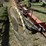 h&s-16-wheel-rake-28-image-4