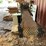 #103b-•-pallet-lumber-resaw-image-3
