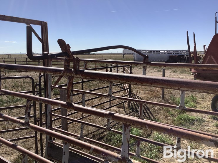 ww-800-livestock-scale-image-18