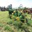 1936-john-deere-b-image-9