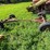 #4438-•-running-gear-image-4