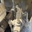 #5007-•-morrison-ompb16-concrete-power-buggy-image-20