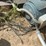#150-•-daul-arbor-gangsaw-image-73