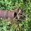 #4461-•-(2)-6"-augers-image-3