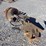 cat-hydraulic-excavator-auger-attach.-image-4