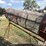 hutchinson-6’-grain-cleaner-image-12