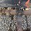 champ-forklift-image-29