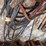 jumper-cables,-electrical-cords,-garden-hose-image-5