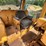 1974-caterpillar-d7f-image-30