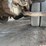 2006-ford-f350-image-22