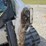 2018-bobcat-t770-image-6