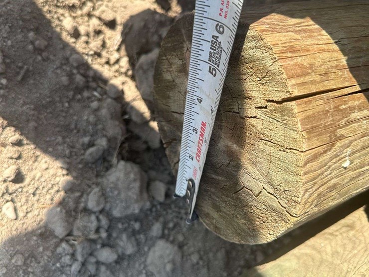 pressure-treated-posts-image-7
