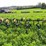 john-deere-rm-image-6