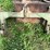 #4452-•-john-deere-3-point-quick-hitch-image-1