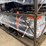 unused-sdlanch-sdlgc-electric-golfcart-image-3