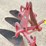 dearborn-3-12"-3-point-plow-w/-coulters-image-9