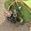 orchard-master-w104-pak-sprayer-image-10