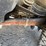 2012-ford-f350-image-20