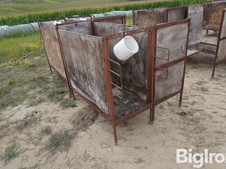 raised-calf-crates-image-7