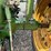 1966-john-deere-4020-image-37