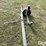 macdon-transport-hitch-image-11