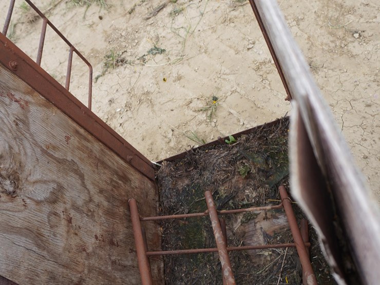raised-calf-crates-image-14