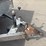 #5074-•-2017-sure-track-aluminum-16'-utility-trailer-image-18