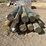pressure-treated-posts-image-6