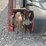 #8624-•-carry-away-conveyor-unit-(maq)-image-47