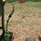 john-deere-4-row-planter-494a-image-2