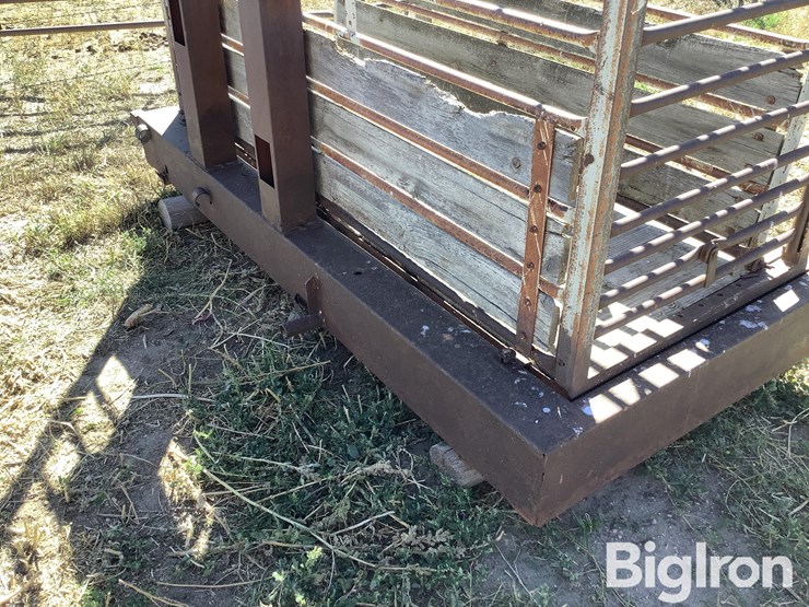 ww-800-livestock-scale-image-14