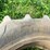 #4469-•-armstrong-tractor-tire-image-6